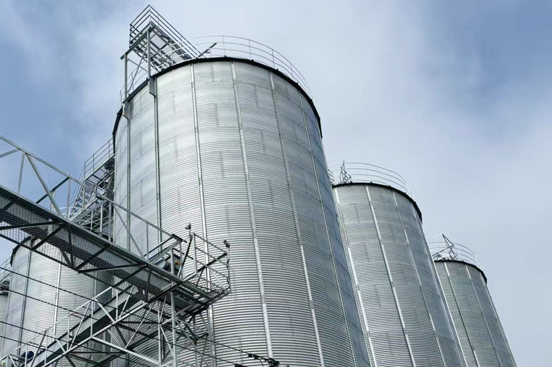 自配料系統(tǒng)賦能高效養(yǎng)殖 —— 天牧糧機(jī)助力年出欄萬(wàn)頭豬場(chǎng)節(jié)本增效